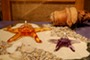 Starfish Oil Lamps.