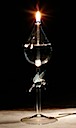 Humming Bird Oil Lamp.